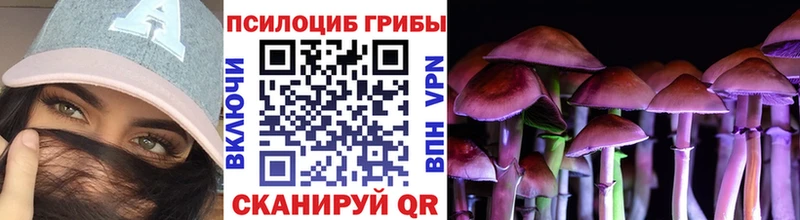 Псилоцибиновые грибы Psilocybe  Лермонтов 